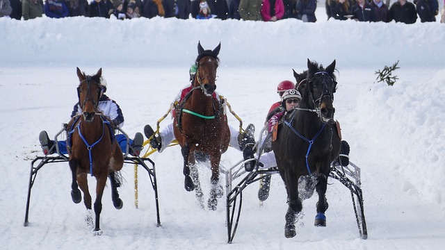 統的防守者 統的防守者