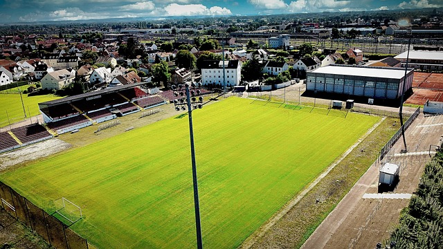 卢顿能否效 卢顿能否效