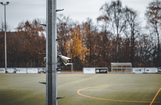 在篮球世界 在篮球世界