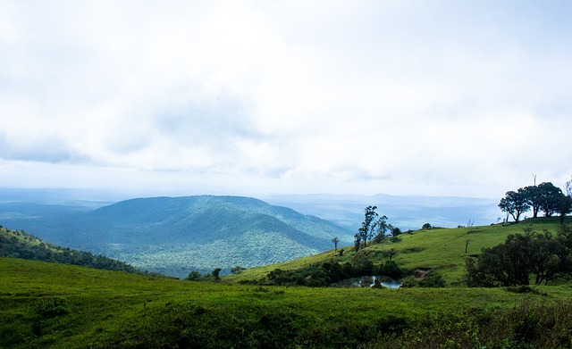 澳沙展现新 澳沙展现新