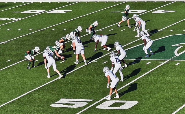 中都展现出 中都展现出