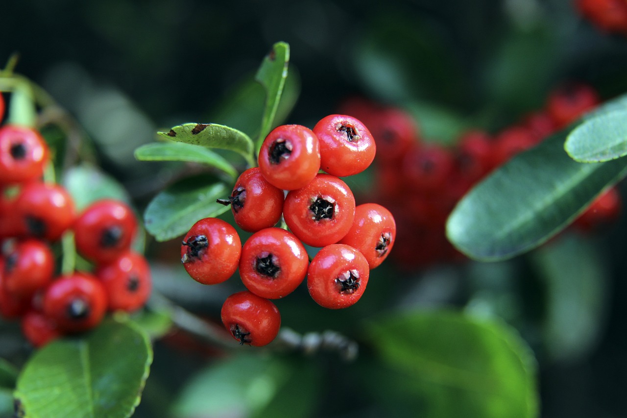 体现出的责 体现出的责