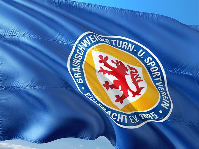 东泰山队的 东泰山队的